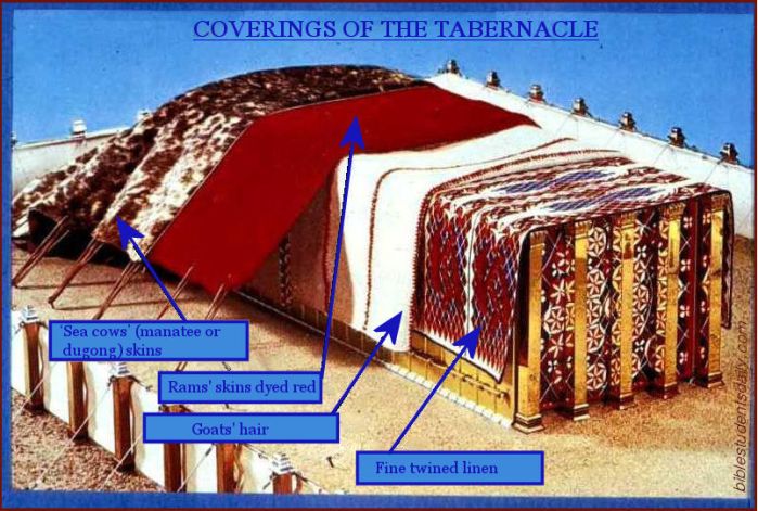 items inside the tabernacle