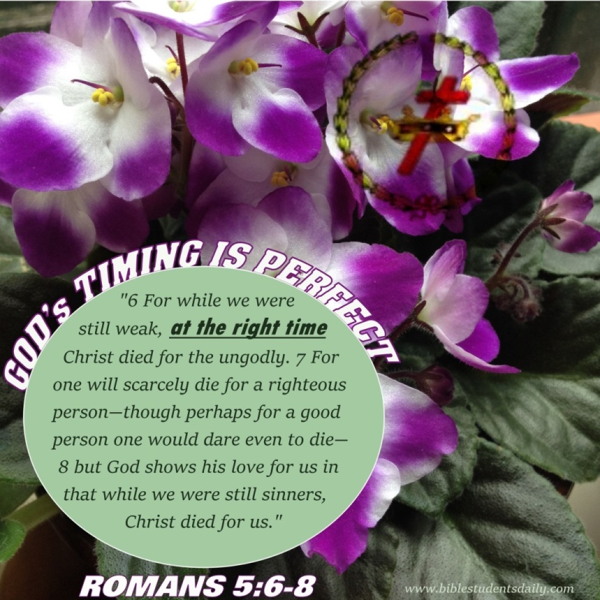 Romans 5, 6-8